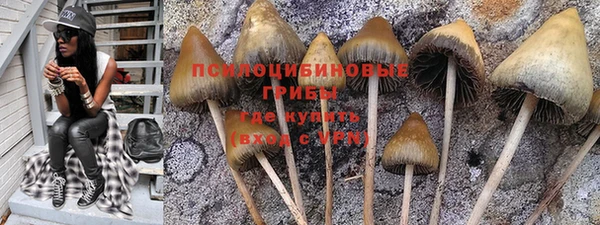 гашиш Арсеньев