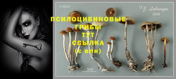 амф Аркадак