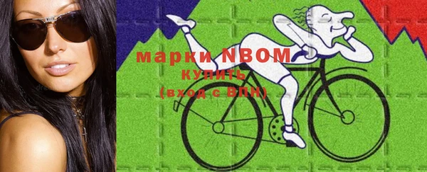 амф Аркадак